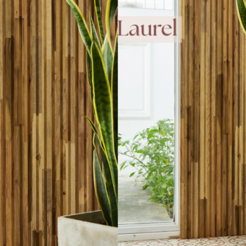 REVEST.LAUREL 18MMX11,5CMX2.60MT