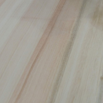 EUCALIPTUS CORT. X P2