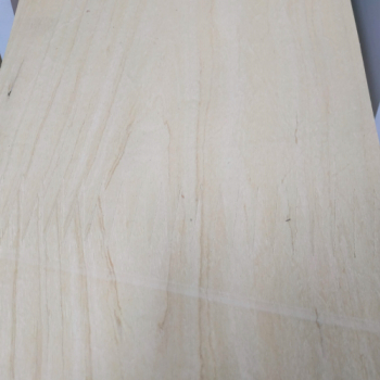 CHAPAS PREENCOLADAS X ML. GUATAMBU