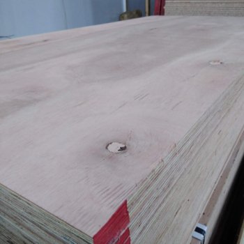 FENOL. 18MM 5/5 GRANDIS