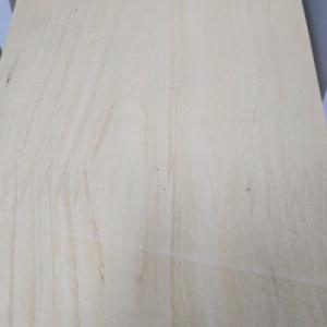 CHAPAS PREENCOLADAS X ML. GUATAMBU